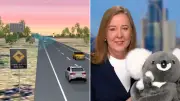 AI wildlife detection system to be trialled on NSW highway from August
