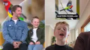 Seven-year-old viral sensation Miles Phillips releases karaoke version of Eastern Rosella song