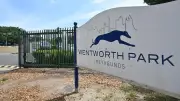 Wentworth Park Greyhound Track to Close a Year Early