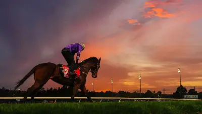 Aeliana's Memsie Stakes chances improve after barrier mishap