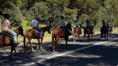 Great Western Hwy closure pushes Central West businesses to brink