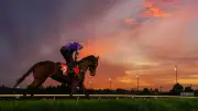 Aeliana's Memsie Stakes chances improve after barrier mishap