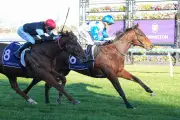 Boomtown Boss wins Aurie's Star Handicap for Gollan