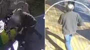 Good Samaritan Not Expected to Survive Youth Gang Attack