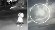 Hit-run driver sought after Heidelberg West car theft
