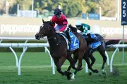 Ninja storms into Everest contention with Missile Stakes win