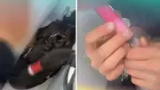 Schoolboy admits to tormenting black swan with vape