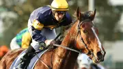 Tim Clark marks 40th birthday with Rosehill treble